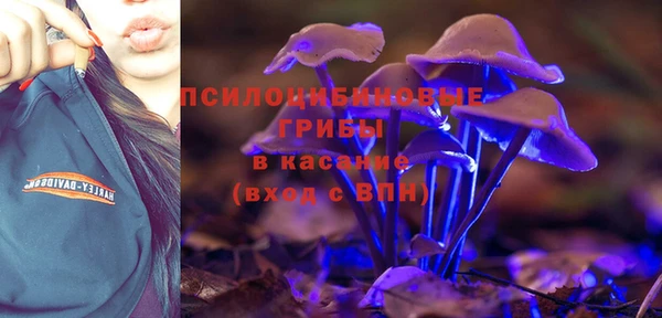 таблы Арсеньев